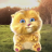ChikinNuggt